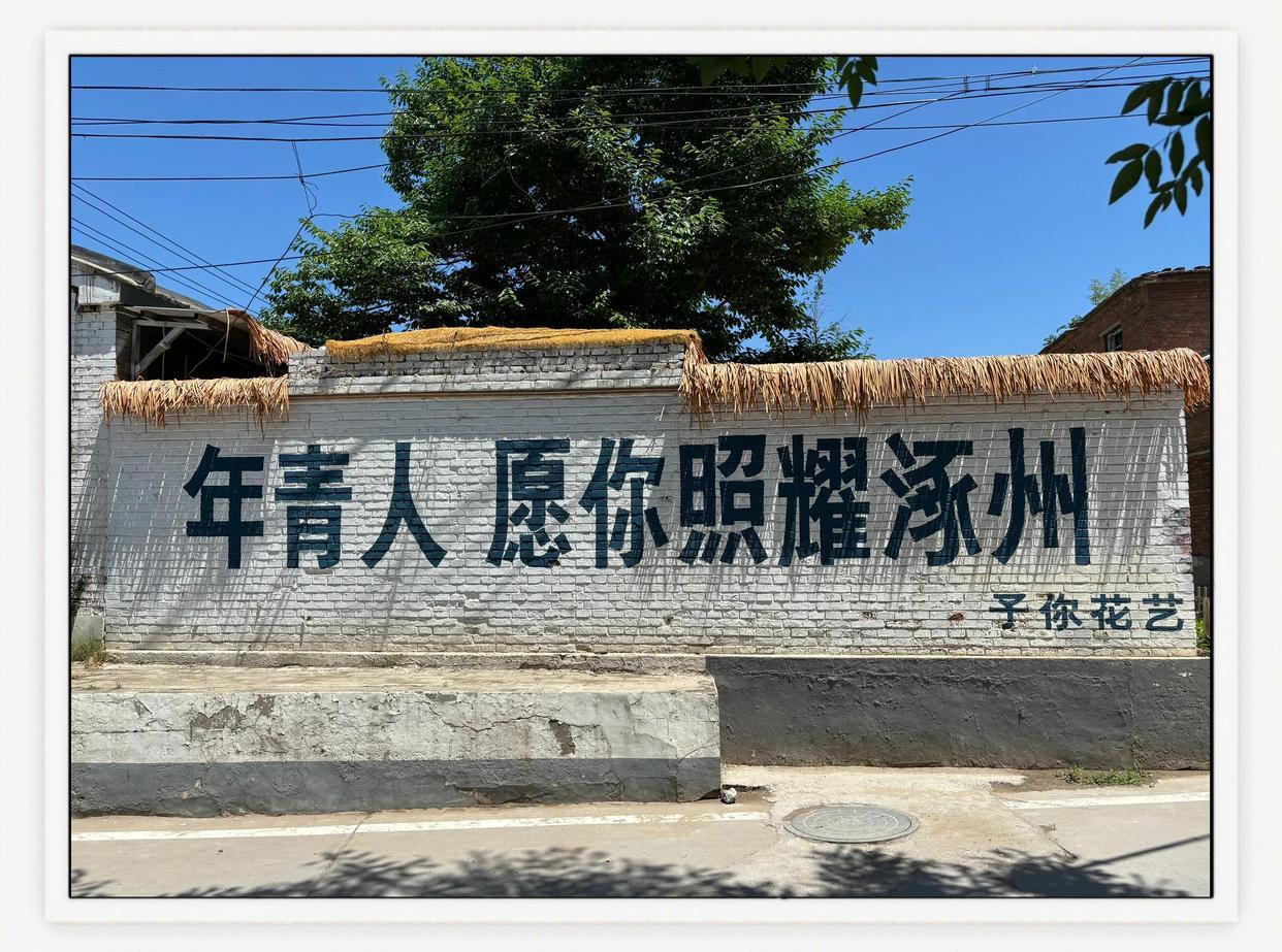 萌新宝宝cbll的图片