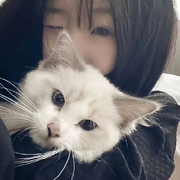 xiaoyao宝宝