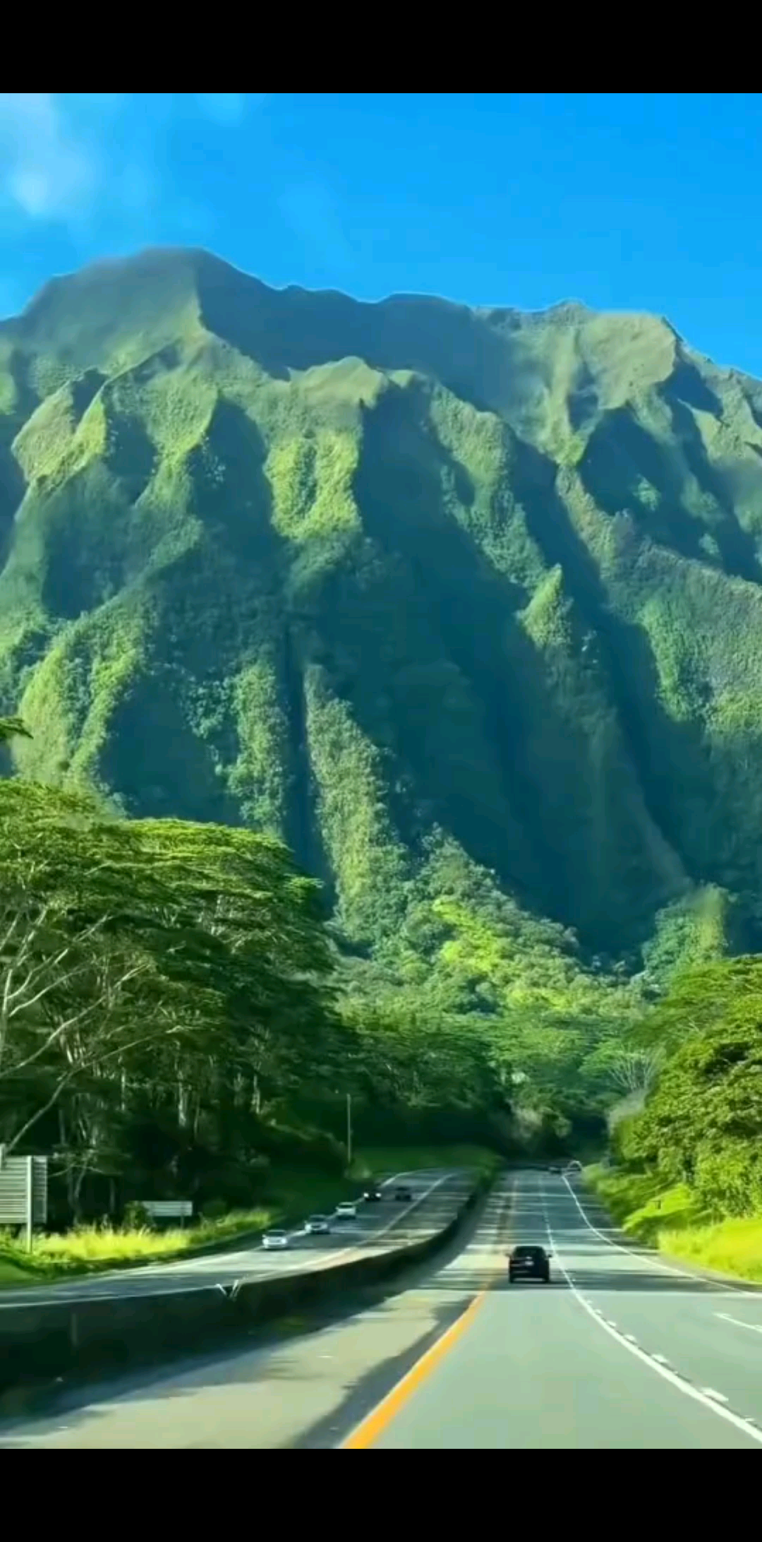 时间是复利真诚和善意