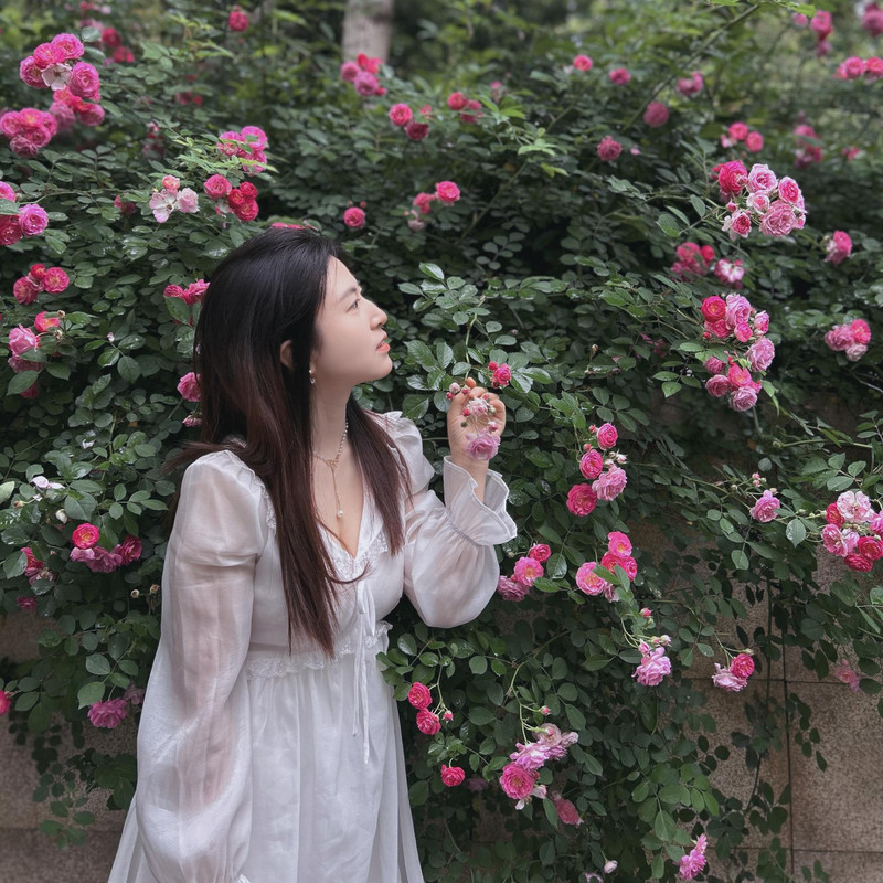 萌新☀晓妮妮~海报