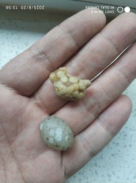 编-终主播照片