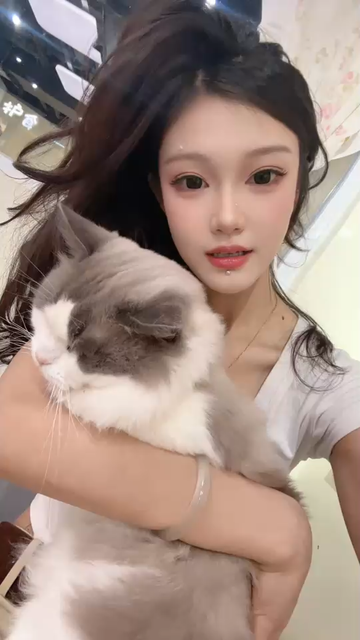 猫咪