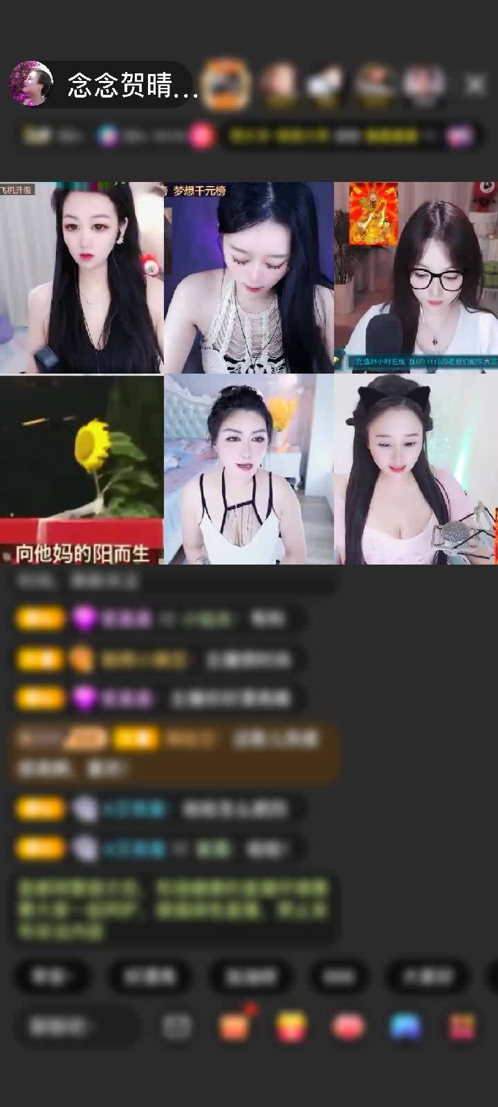 感谢来，吃一个么一个赠送凤鸣九霄1个