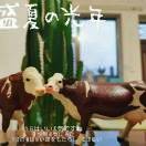 利云2