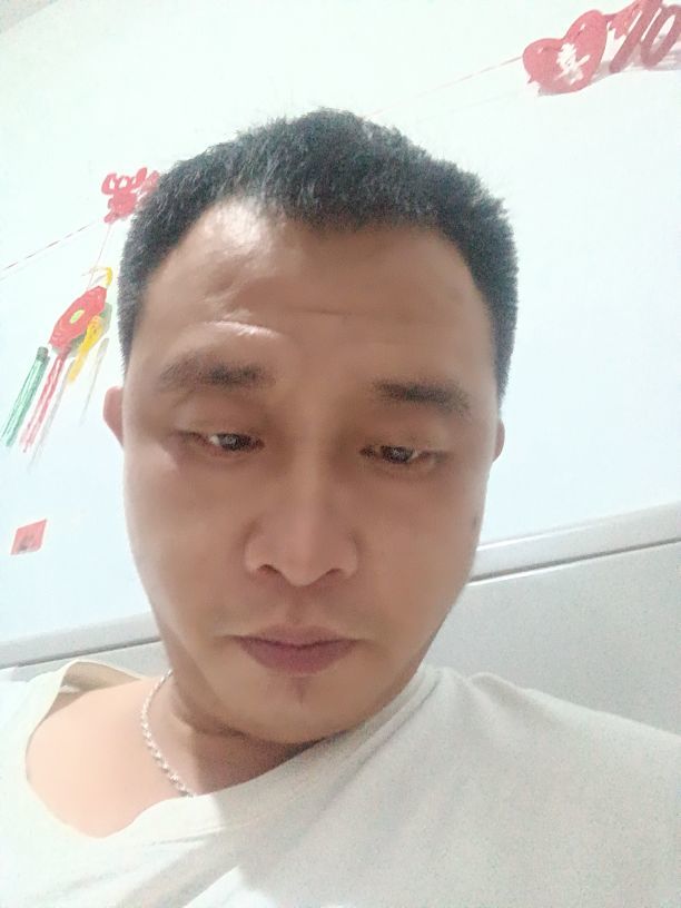 可爱小熊熊的图片