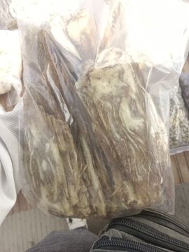 可爱小熊熊主播照片