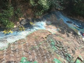 离别的车站-阳阳加油主播照片