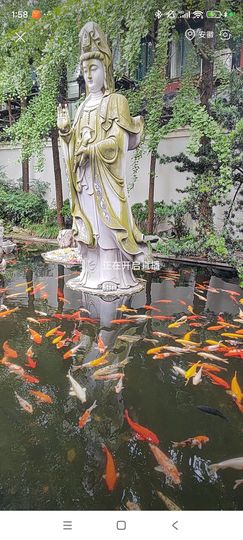 婷婷💕求过月底任务主播照片