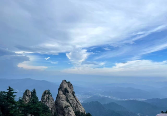 无忧无虑2025海报
