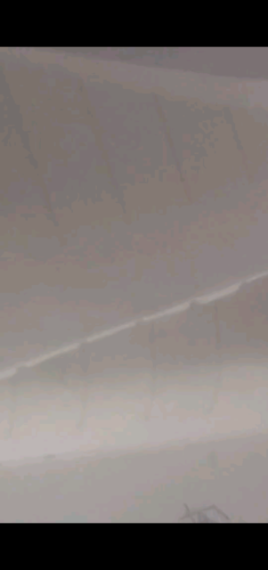 浩浩哥我吃鱼跳过了龙