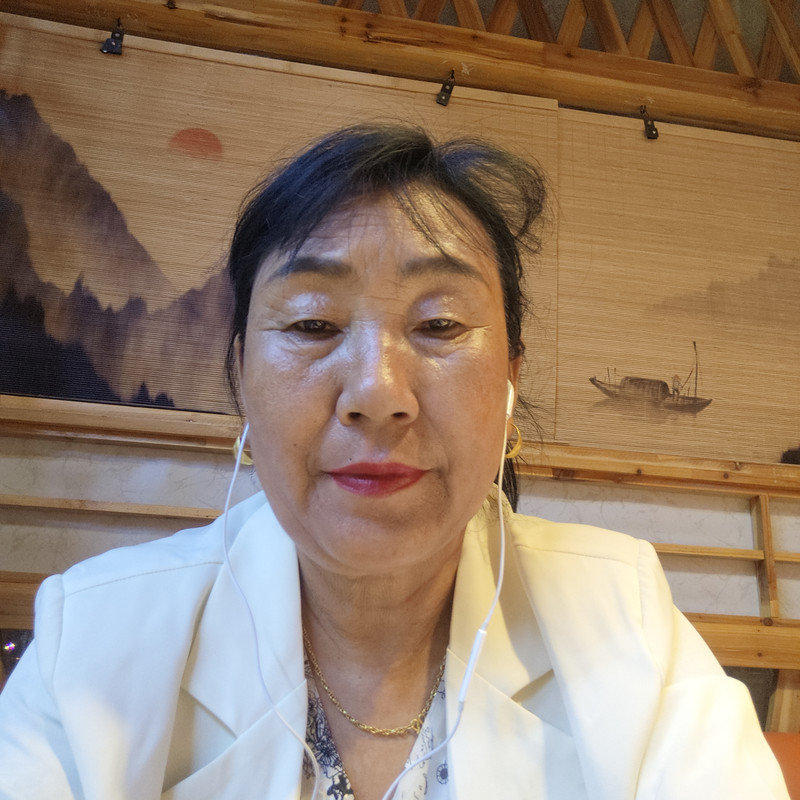 梅花香自春风来海报