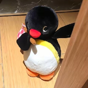 下次一定.