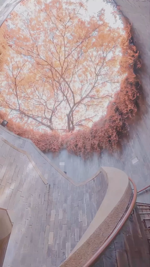 @卡卡卡一波海报