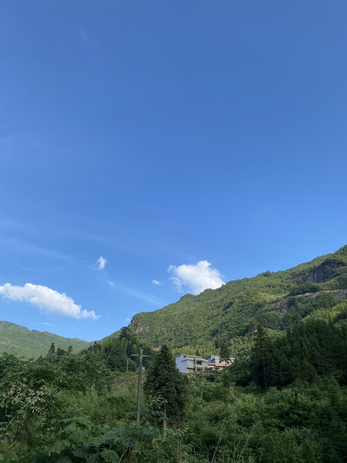 南星🍀主播图片
