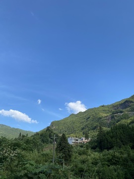 南星🍀主播照片