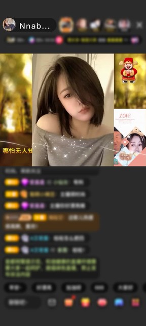 感谢国民萌叔^_^赠送天空游乐园1个