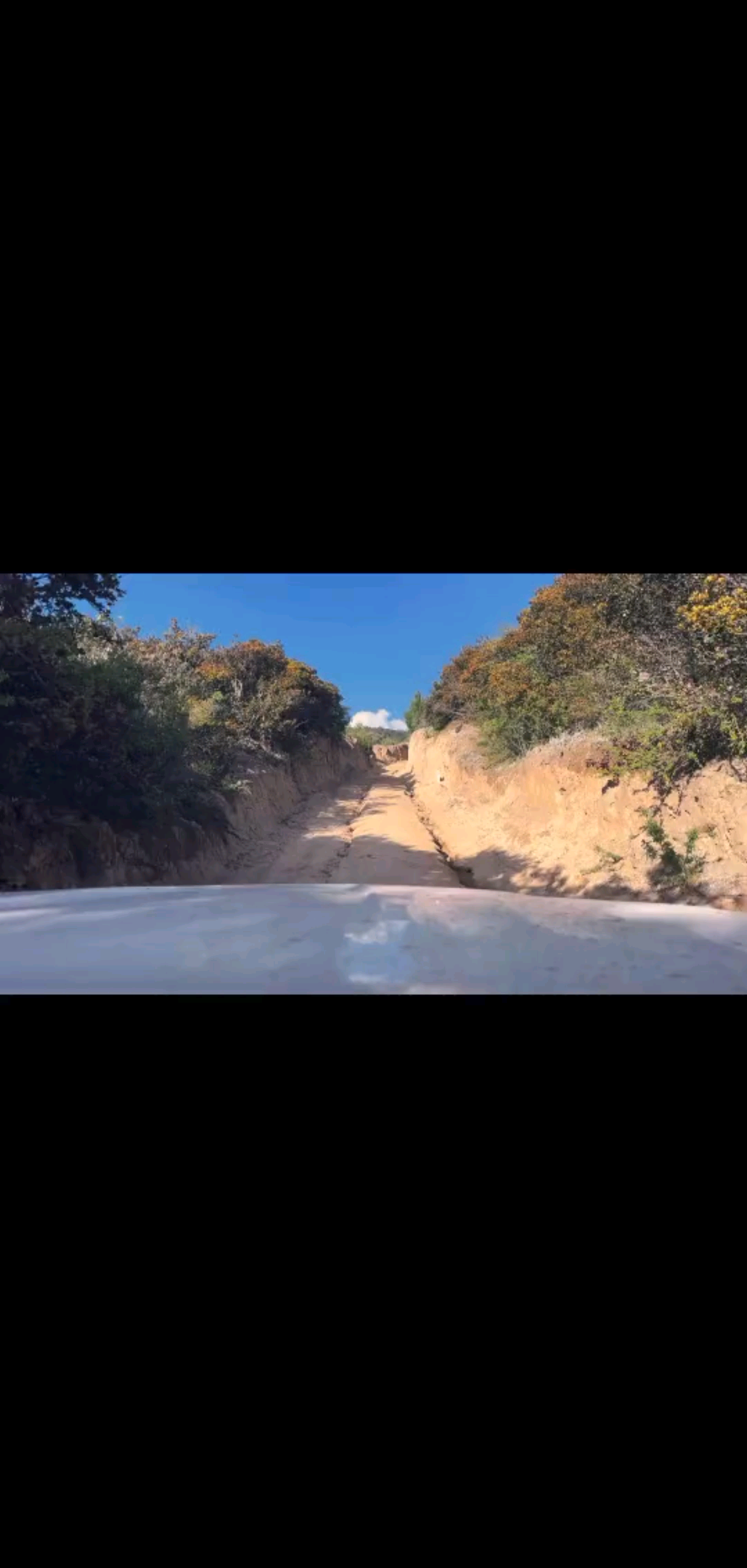 風(fēng)是山野捎給你的心里話