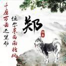 阳光金子的心态