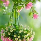 29egjlmy!$海报