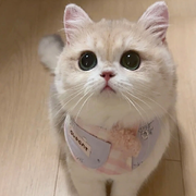 我是可爱小宝