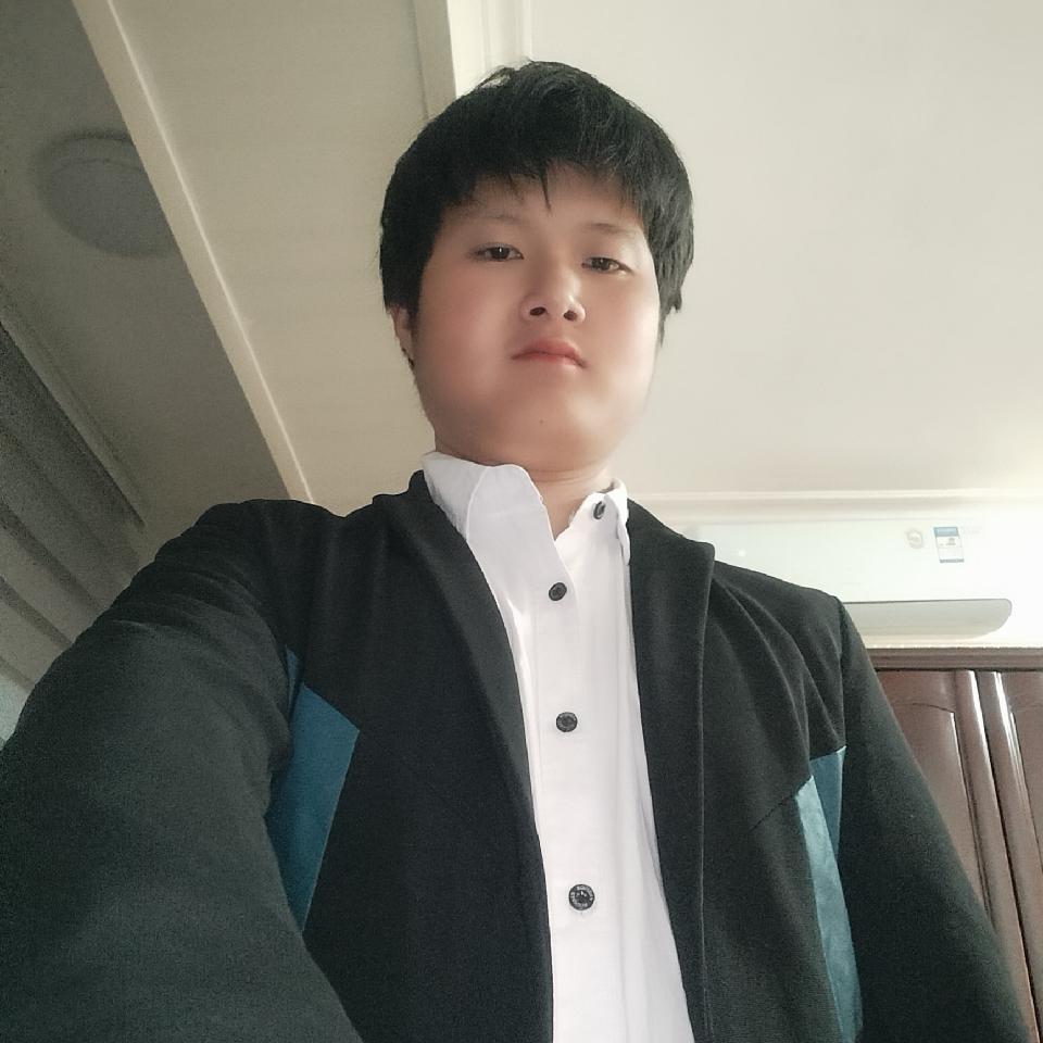 盗梦情踪海报