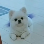 8023??陪你一世的頭像