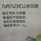 段祖義（老興?。┑念^像