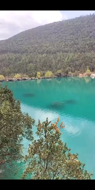 風(fēng)景如畫