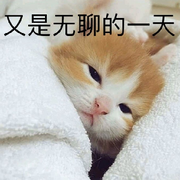 无聊的聊！