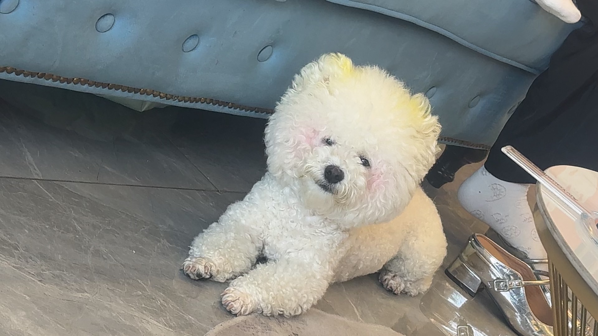 小蝶??～的主播照片