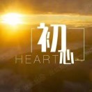 金虎1b
