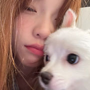 泡泡睡不著??的頭像