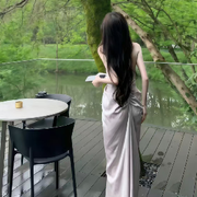 聂晨曦