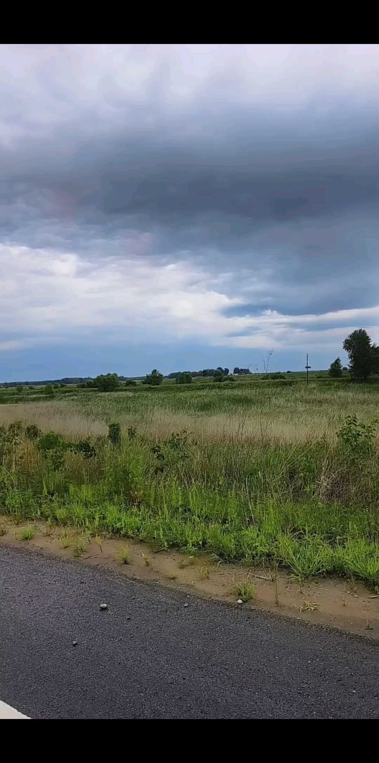齐齐哈尔的沿途风景，