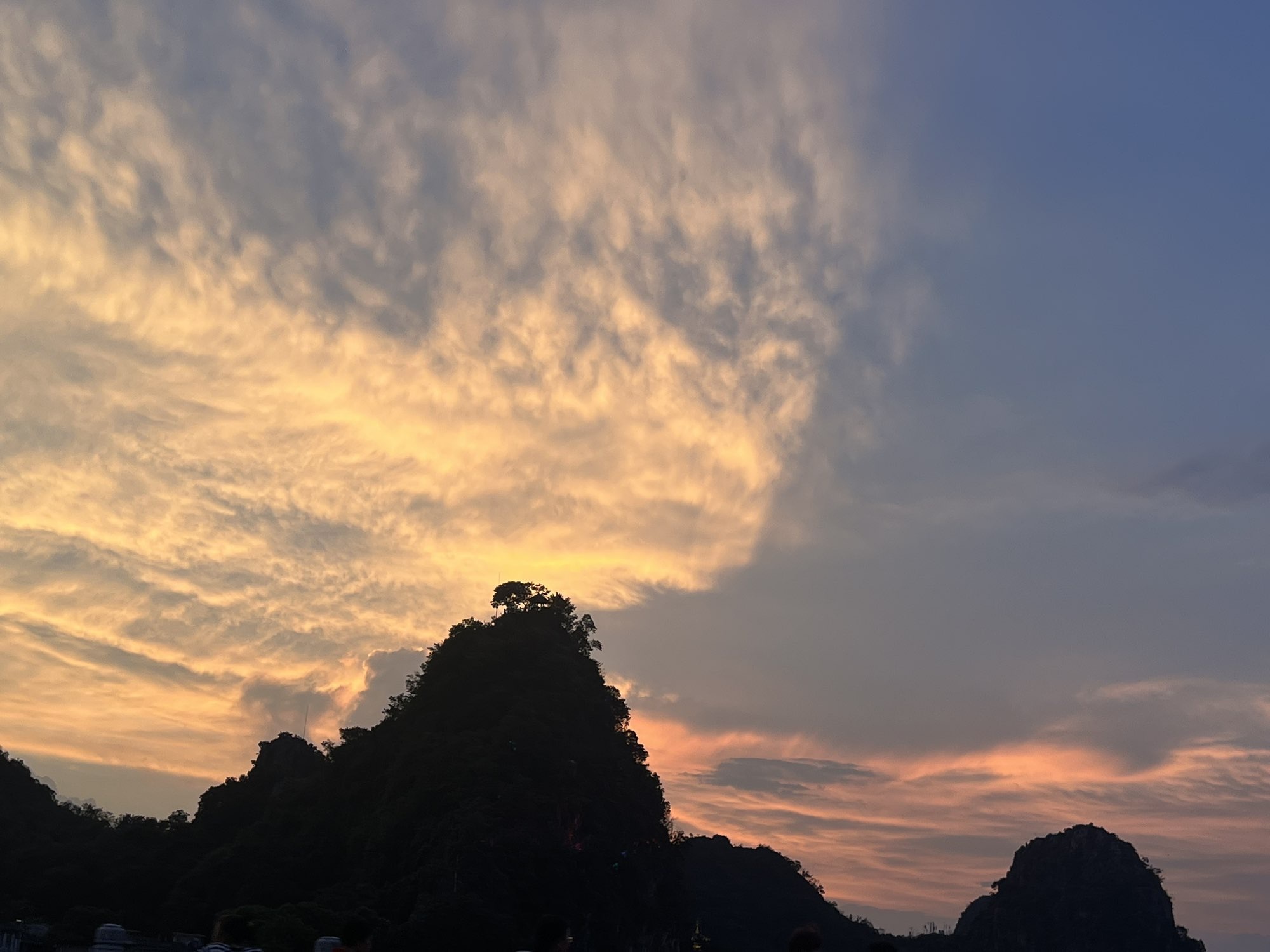 茶茶中中中的图片
