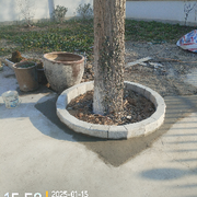 月工资高达2千8