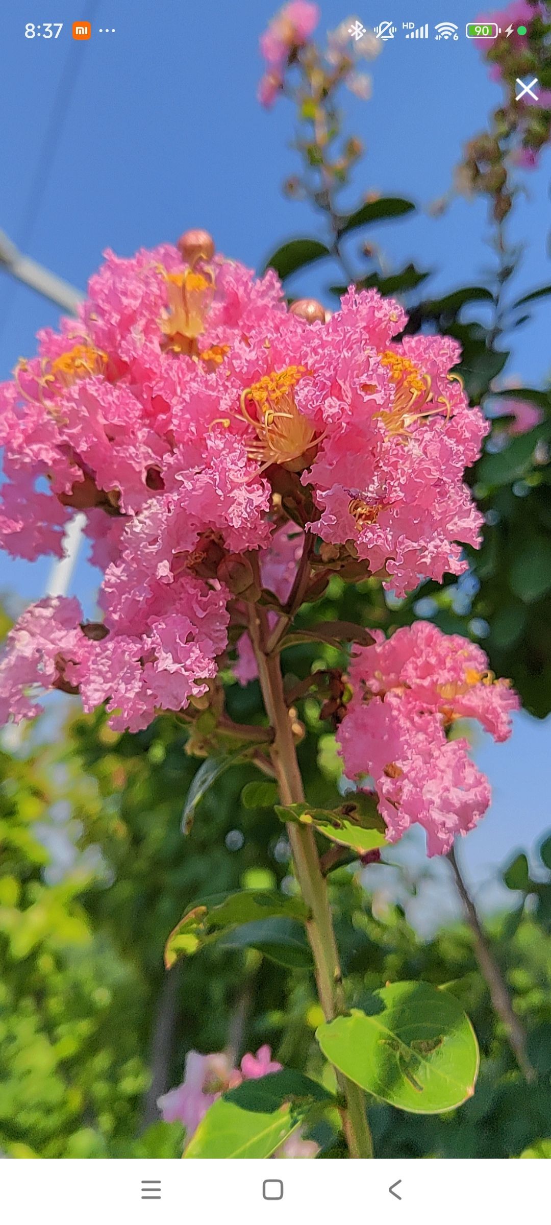 婷婷💕感恩有你陪伴的图片