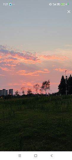 婷婷💕感恩有你陪伴的图片