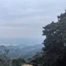 黄慧18939933的头像
