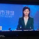 洪2wz