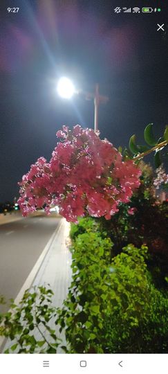 婷婷💕感恩有你陪伴主播照片
