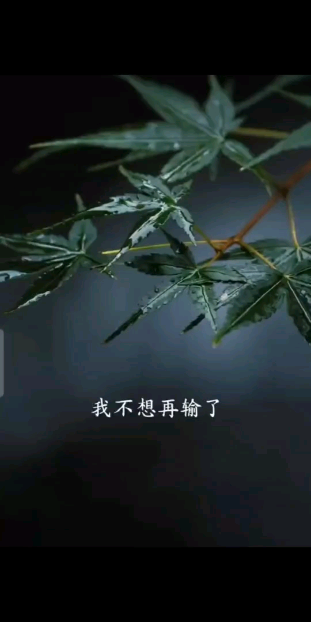 别丢下我好不好，我没
