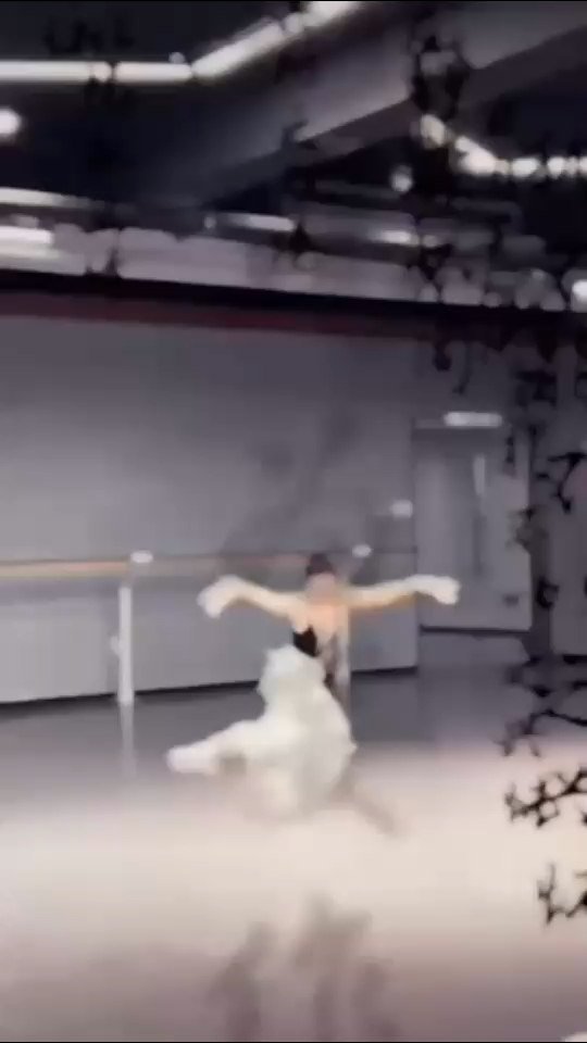 傣门永存