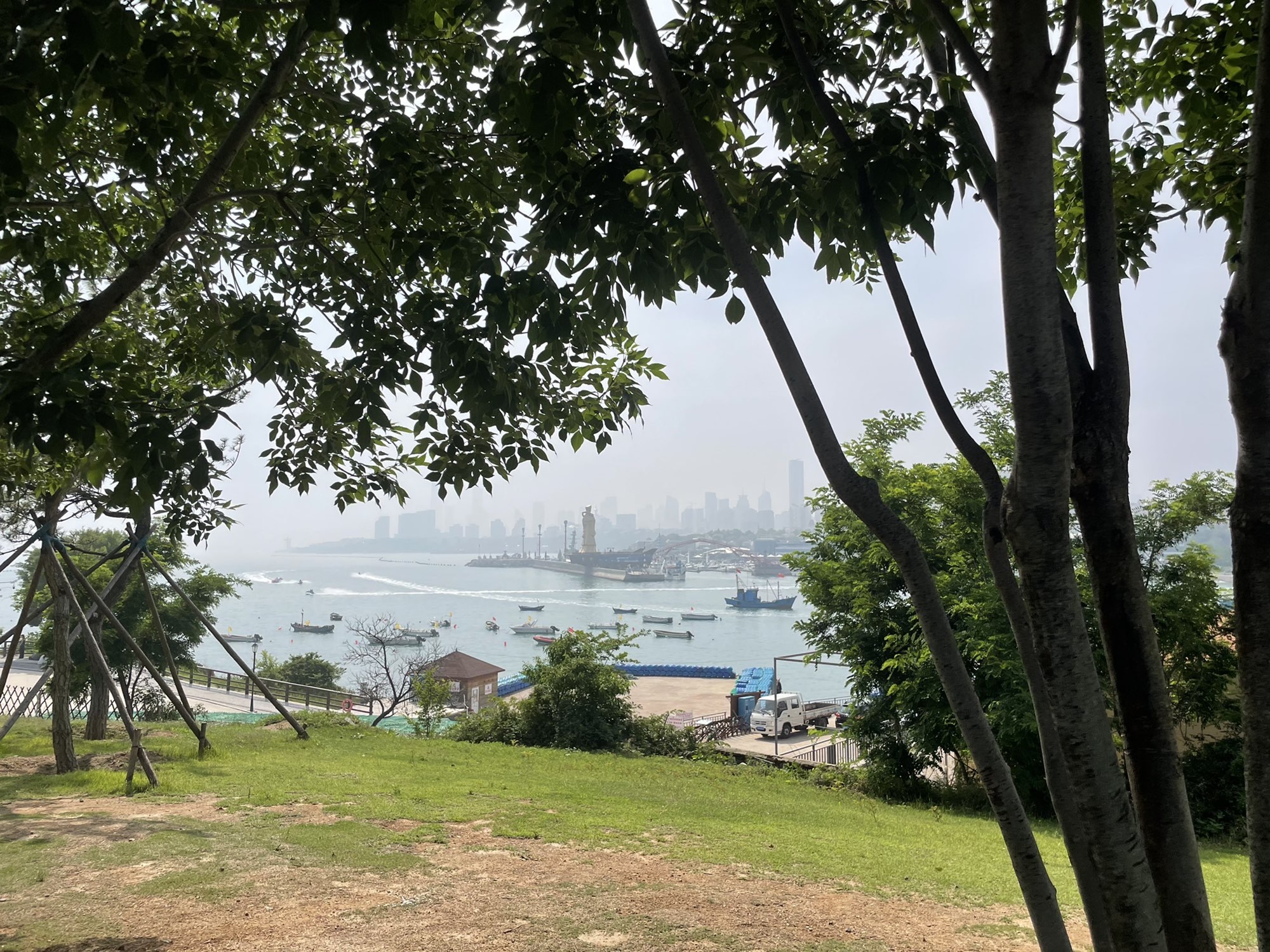 新人小喵🐱的图片