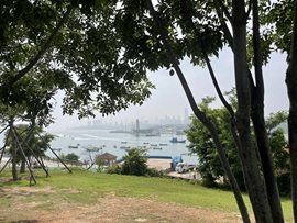 新人小喵🐱主播照片