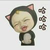 一生一试7