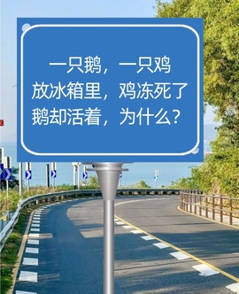 乖乖求升级主播照片