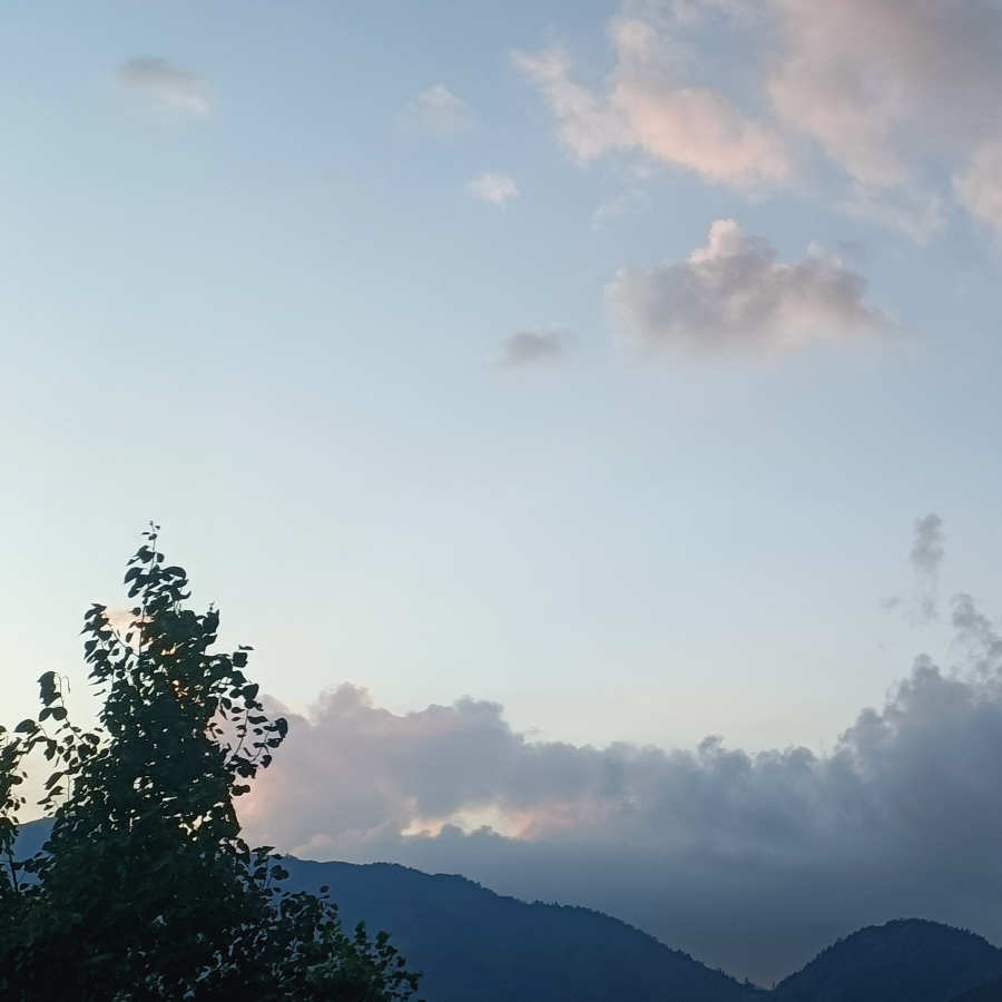 流浪汉⁹⁸⁷海报