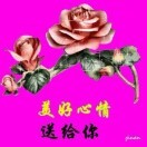 董建强7的头像