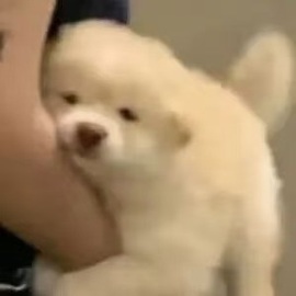 洁儿宝宝💗~主播照片